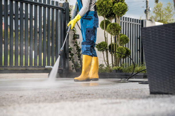 Best Fence Cleaning  in Saranac, MI
